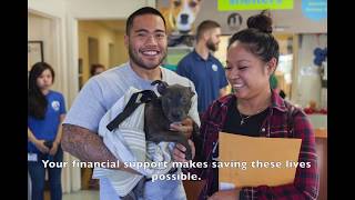 A Berkeley Humane rescue - thanks to you!