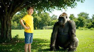 Soft Frame 🖼️🌫️ screenshot 3