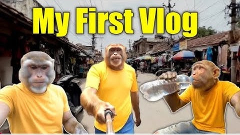 Baba bunty 1st Vlog || Ai monkey Vlog || I Will go to the Mall || ai monkey shorts