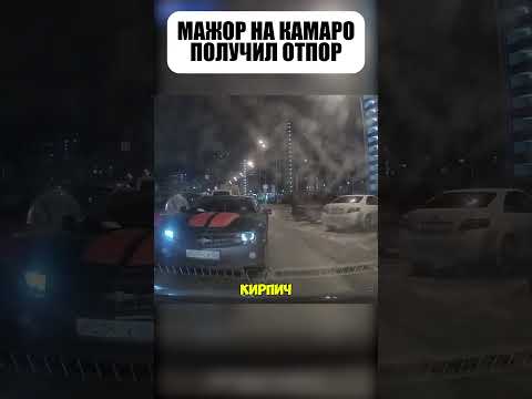 👑🚫 Мажор считал себя великим, но ошибся!