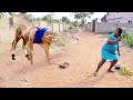 Step Mother Tried To Cast Spell On My Unborn Child But This Happen To Her - African Movie 2023