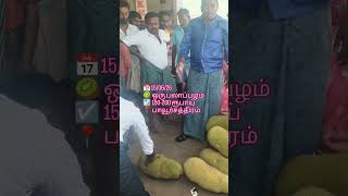 பாவூர்சத்திரம் மார்க்கெட் #jackfruit #fruit #fruits #pavoorchatram #market #streetfood #shorts #new