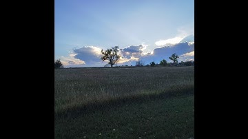 TRACK_01 (OCT272025, 4h29m PM)