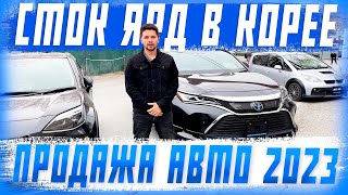 Как заниматься перепродажей автомобилей в 2023 году! Выгода для продавцов и покупателей!