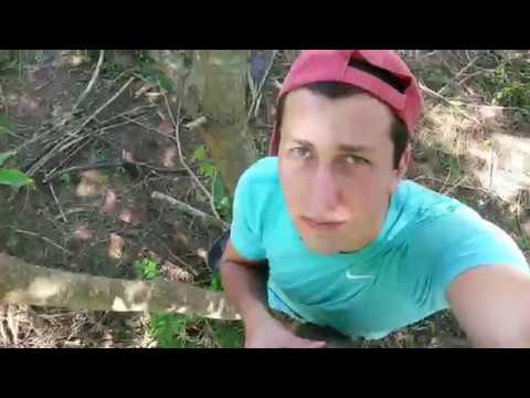 GIORGI GELOVANI 2017 ბოლო ჟამი