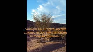 "Aunque mis ojos" Grupo Los Lirios