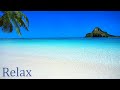 Relax your Heart 🌴 - Relaxing Sound of the Calm Ocean Waves with Sunny Beach - Chill out Deeply.