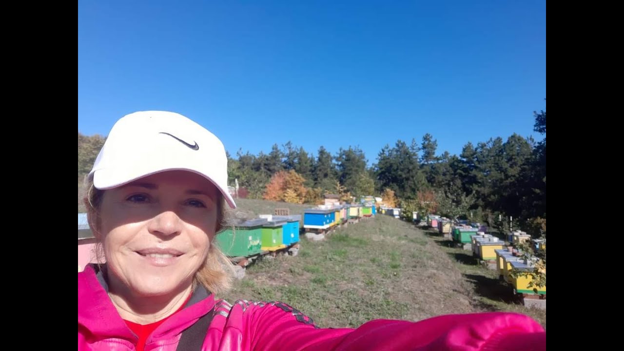 Druga polovina oktobra na pcelinjaku