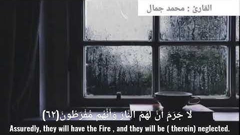 ولو يؤاخذ الله الناس بظلمهم ما ترك عليها من دابة/ سورة النحل ❤️/ مترجم بالإنجليزية