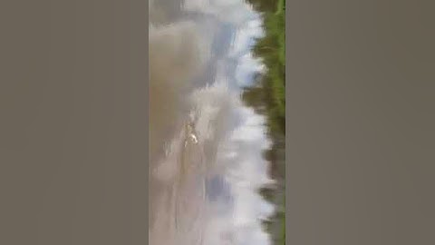 Đại ca câu cá Piranha Việt Nam