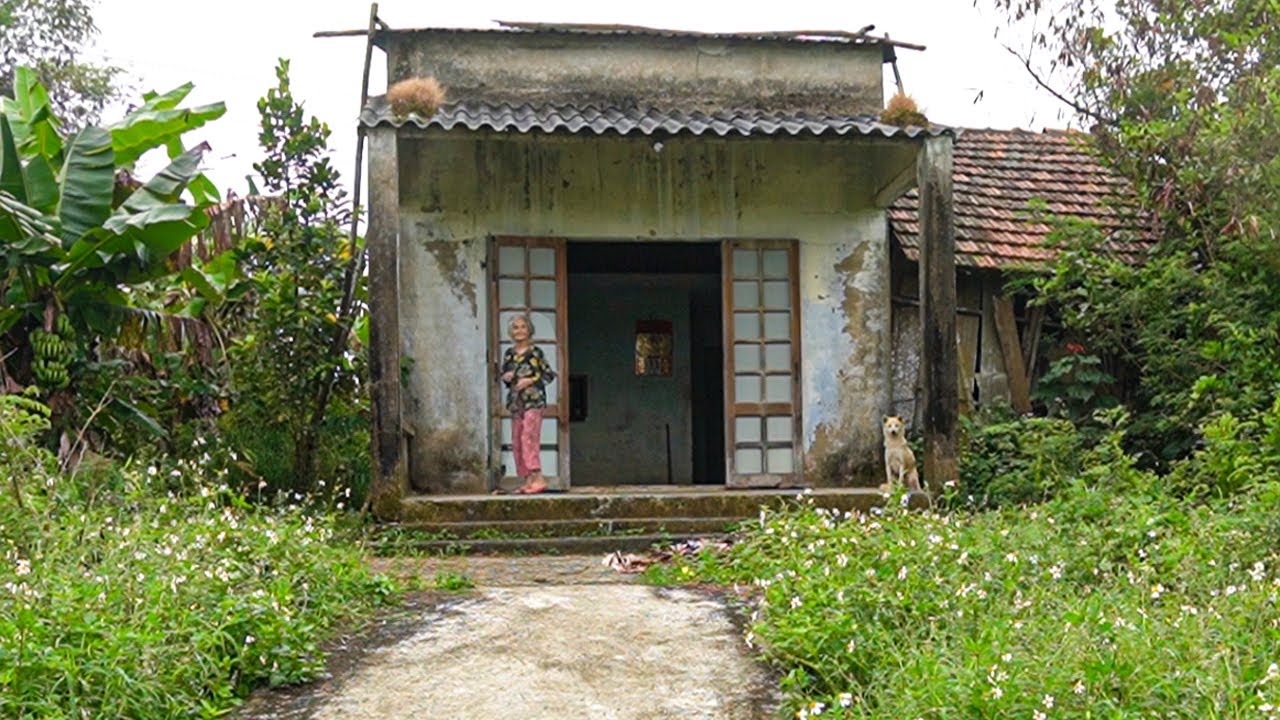A Free Yard Cleanup for a Sweet Grandma and Her Dog