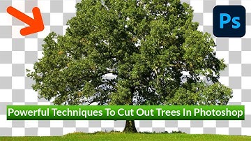 Powerful Techniques To CUT OUT Trees In Photoshop