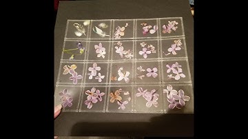 Mass Make Acetate Specimen Slides #TutorialTuesday