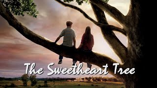 The Sweetheart Tree (adapted from Flipped)