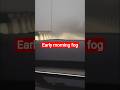 early morning fog @delhi. #delhi #delhifog #dailyvlog