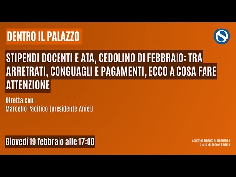 Video Stipendi docenti e Ata, cedolino febbraio: tra arretrati e pagamenti, ecco a cosa fare attenzione