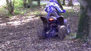Proshark 100cc