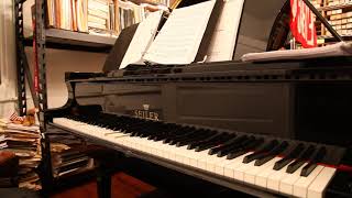 Roy's Rag - from themes composed and played by Roy Bargy as piano roll interludes