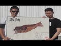 【 瀬戸内を釣る 】昼間の大島！爆釣！キスがうまいんだわ！