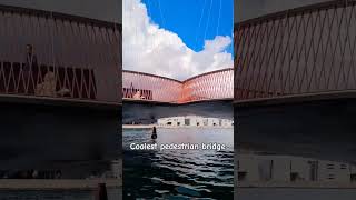 coolest pedestrian bridge in Copenhagen #europe #trending #india #viral #travel #nature #reels