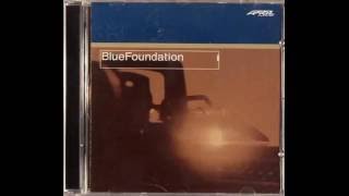 Details Blue Foundation - Evo News