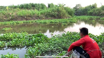 Câu Cá Rô Đồng, Thác Lác Trở Lại Điểm Câu Biên Giới Vẫn Lên Cá Đều Đều