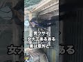 じろじろみられてるな～サービスしちゃえｗ#女大工 #建設女子 #建築女子