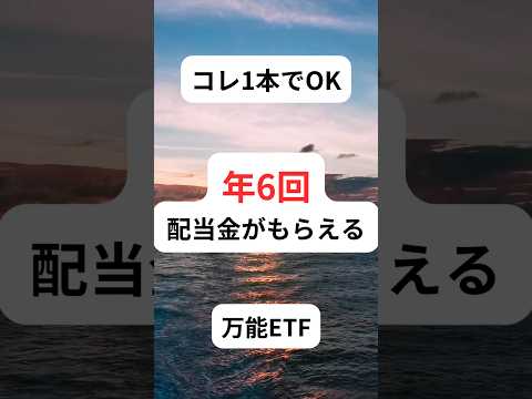 【2236】グローバルＸS&P500配当貴族ETF｜たったコレだけで年6回配当金がもらえる！