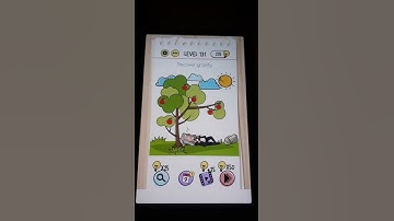 Discover gravity level 131 brain test