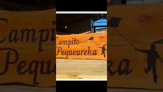 Avisos Publicitario en Tablas de Madera.' #decoración #arte #hogar #short.