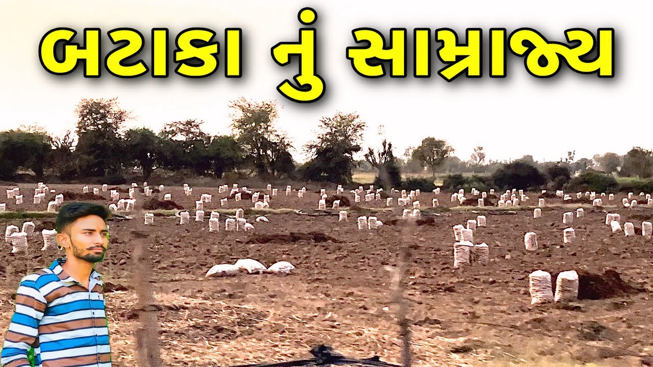બટાકા નું સામ્રાજ્ય 🤓 Deshi Gujarati Vlog Video - રિયલ લાઇફ વ્લોગ 