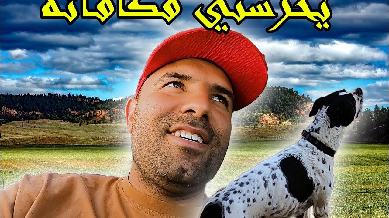 الاكل المناسب لكلب الحراسة/مفاجأة في الحديقة