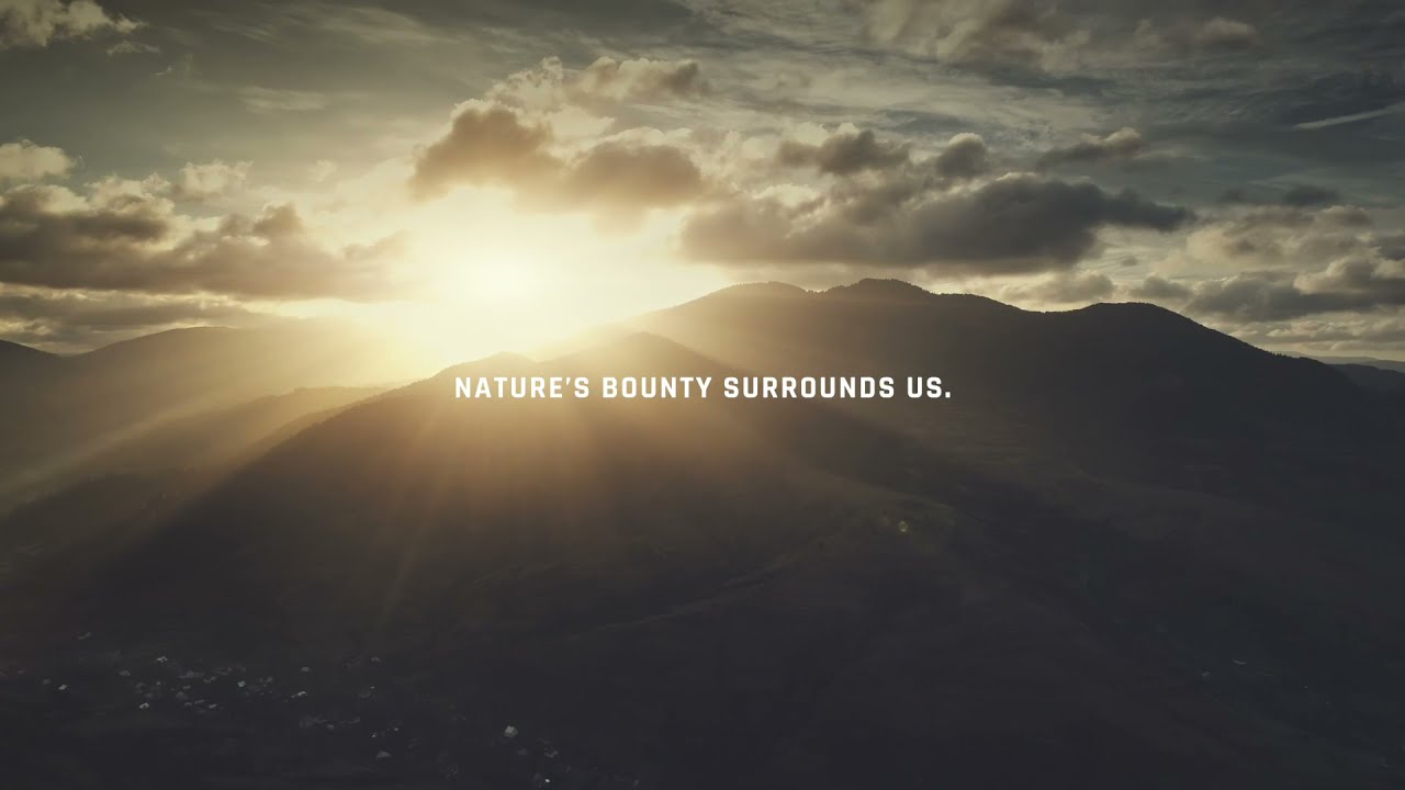 How to choose high quality CBD Oil? Award-winning & FSA validated CBII CBD