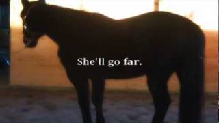 Information When we learn how to fly, We forget how to walk- Paula's Recovery News
