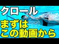【クロール】入門編【最初に見るべき】初心者向け【ポイント解説】