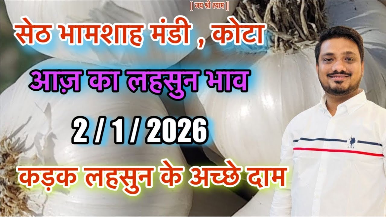 आज़ 2/1/2026 का ताज़ा लहसुन भाव । 2 जनवरी 2025 का कोटा मंडी का लहसुन भाव । सेठ भामाशाह मंडी भाव