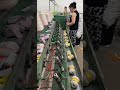 Why Big Brands Are Switching to This Yarn | MONALISHAMAGIC Factory Tour #monalishamagic #crochet
