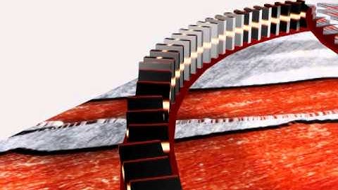 Simple Domino Effect [3ds Max & After Effects]