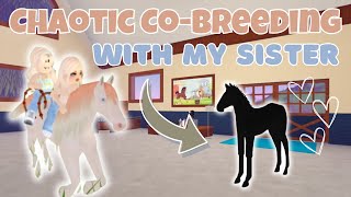 Chaotic CoBreeding With My Sister… AGAIN | Wild Horse Islands