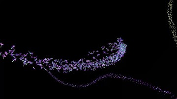 Particle Trails Animation Experiment Cinema 4D