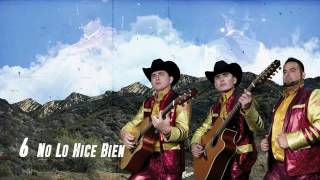 Los Plebes Del Rancho De Ariel Camacho | No lo hice bien