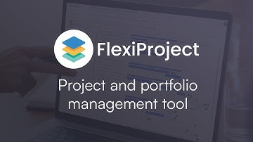 FlexiProject | Project and portfolio management tool
