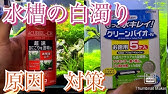 オールインワン水槽 インテリア重視のリビング水槽 テトラ Tetra リビングキューブ 淡水魚 海水魚用 Youtube オールインワン水槽 インテリア重視のリビング水槽 テトラ Tetra リビングキューブ 淡水魚 海水魚用 Youtube
