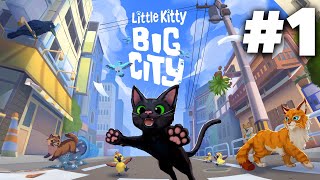 LITTLE KITTY BIG CITY Gameplay Walkthrough Part 1 - OPEN WORLD CAT GAME screenshot 5