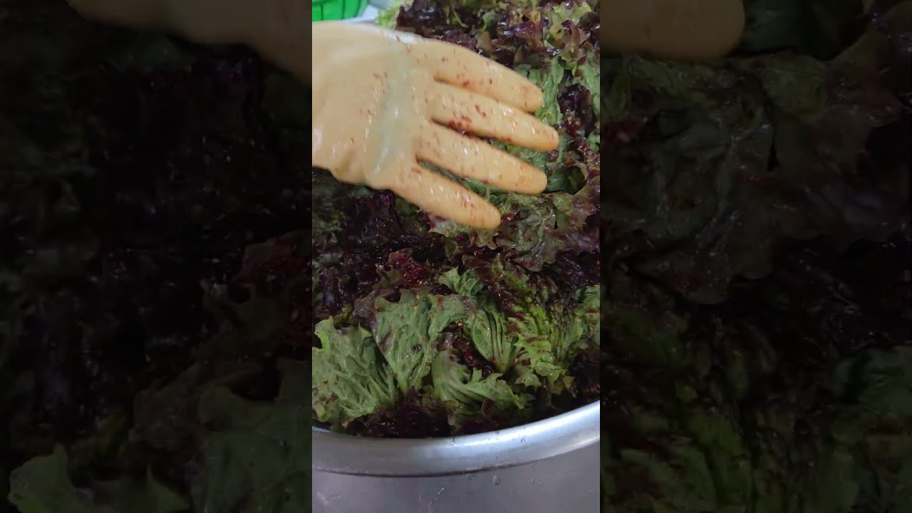 상추 겉절이 /   싱싱함 유지가  중요