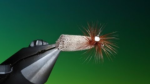 Fly Tying the Nyblom Caddis with Barry Ord Clarke
