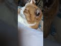 ダラダラ