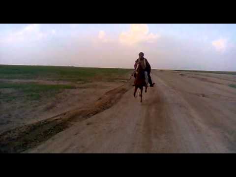 الهنوف بنت رامي خيال النعيم