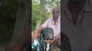 Why React Native is Great / Facebook Spends Billions on R&D / JavaScript Creator