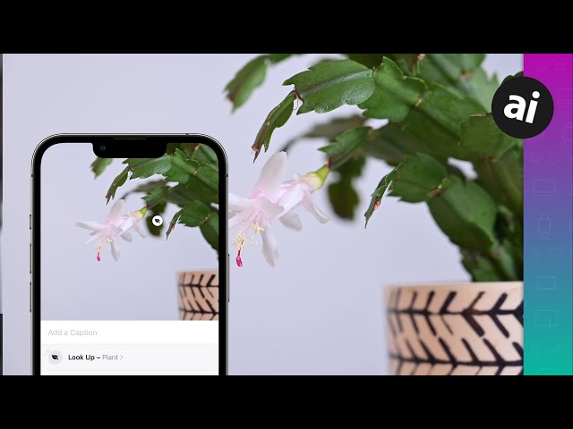 How To Identify Plants & Flowers With Your iPhone Camera! No App Needed!! class=